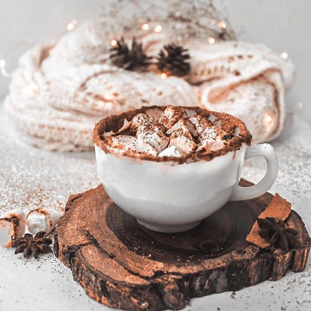 Signature Bundle - Hot Chocolate & Hazelnut Instant Coffee Online 